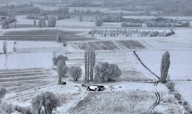 Sivas'ta Sibirya soğukları, eksi 15 derece ile doğa sanata dönüştü