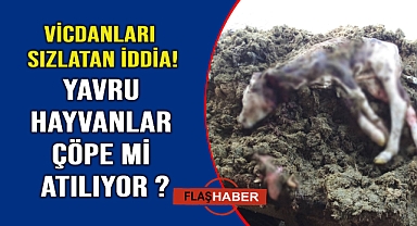 Skandal iddia gündemi sarstı