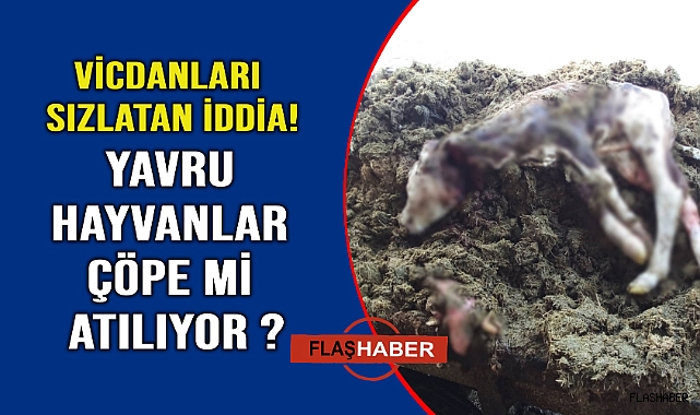 Skandal iddia gündemi sarstı