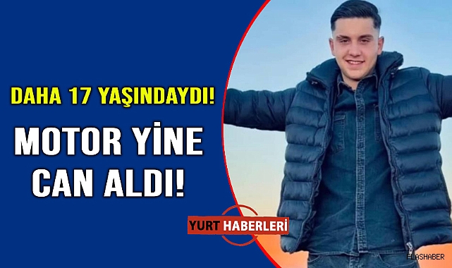Sokak köpekleri trafik kazasına sebep oldu