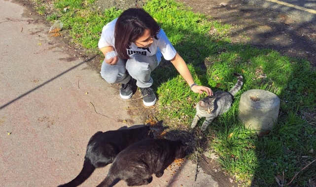 SUBÜ'lü öğrenciler sokak hayvanları için mama dağıttı