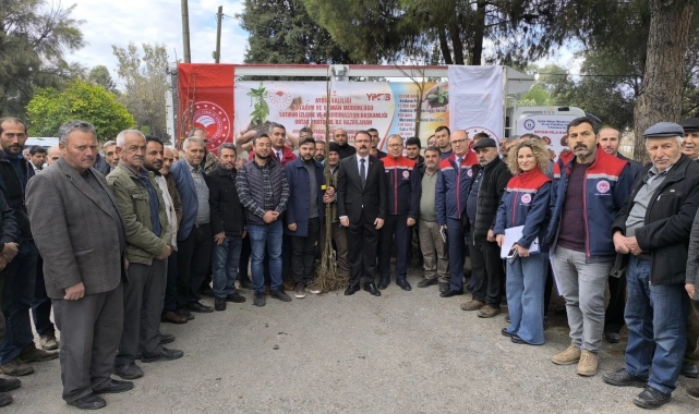 Sultanhisar'da 6 bin kestane fidanı dağıtıldı