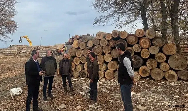Tarakçı Orman Deposunda sınıflandırma denetimi
