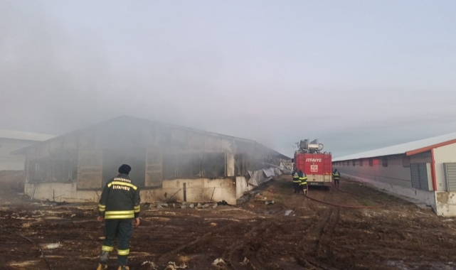 Tavuk çiftliğinde çıkan yangın hasara neden oldu