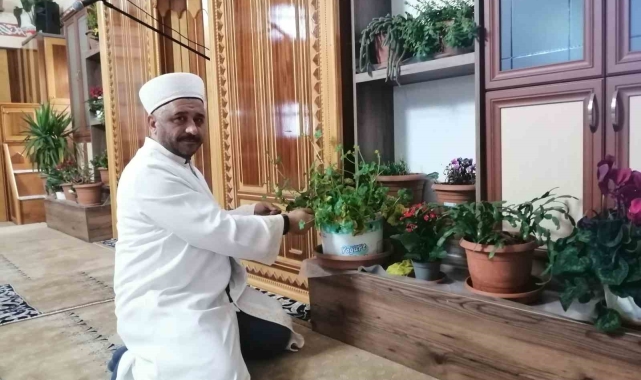 Tokatlı imam cami içini çiçek bahçesine çevirdi