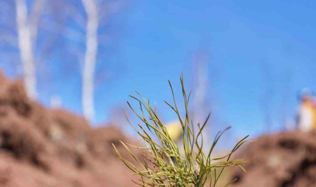 Uludağ Elektrik dijitalleşme çalışmalarıyla doğaya katkı sağlıyor