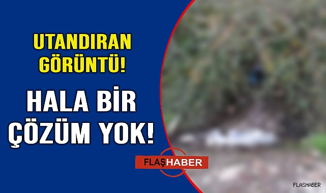 Utandıran görüntü devam ediyor