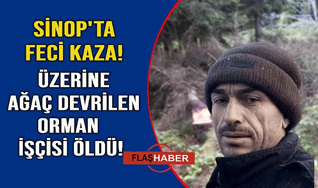 Üzerine ağaç devrilen orman işçisi kurtarılamadı
