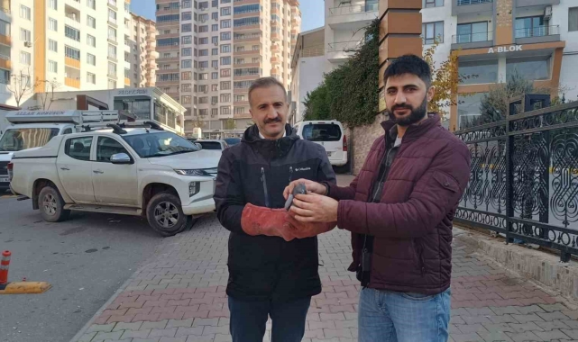 Yaralı güvercin Doğa Koruma Milli Parklar ekiplerine teslim edildi