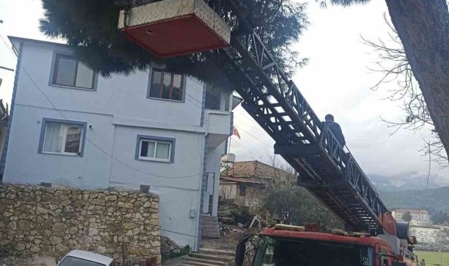 Yayladağı'nda ağaçta mahsur kalan kediyi itfaiye kurtardı