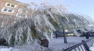 Yeşilyurt'ta soğuk hava etkili oldu