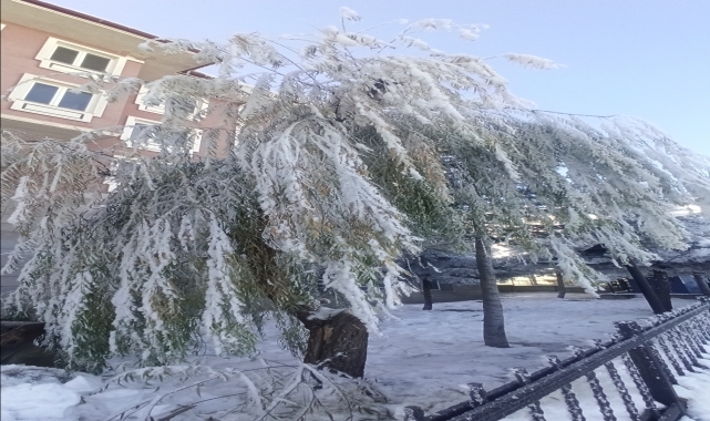 Yeşilyurt'ta soğuk hava etkili oldu