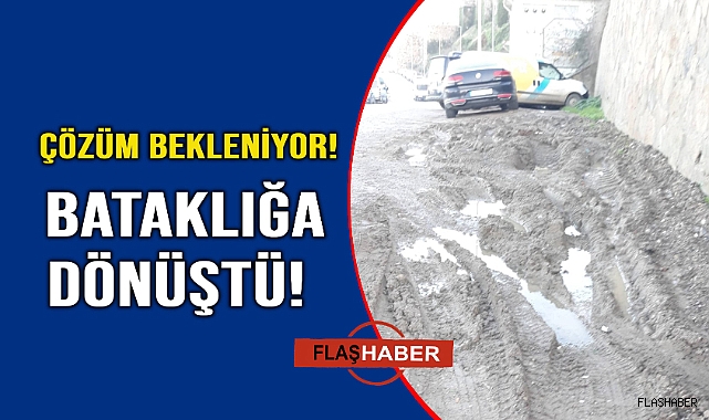 Yol tarla görünümüne girdi