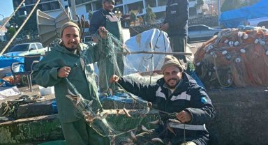 Zonguldak'ta barbun balığı bereketi