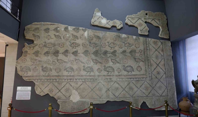 2 bin yıllık mozaiğin kalan parçası ahırdan çıkarılmayı bekliyor