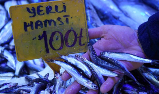 2024'te 200 TL olan hamsi 2025'te 100 TL'den satılıyor