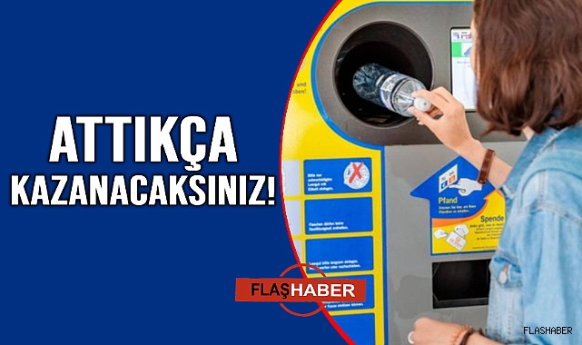81 ile kurulacak