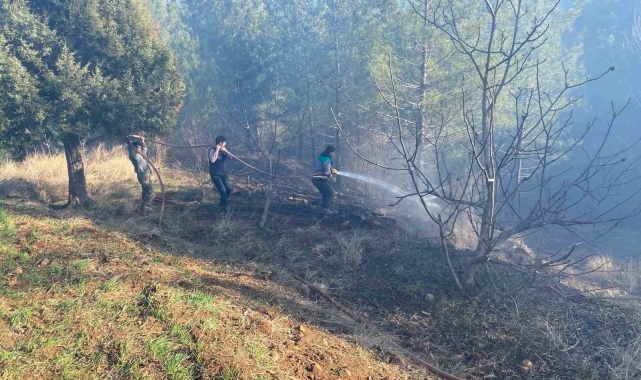 Adana&#039;da orman yangını kontrol altına alındı