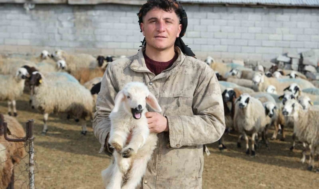 Annesinin reddettiği engelli kuzuya evde bebek gibi bakılıyor