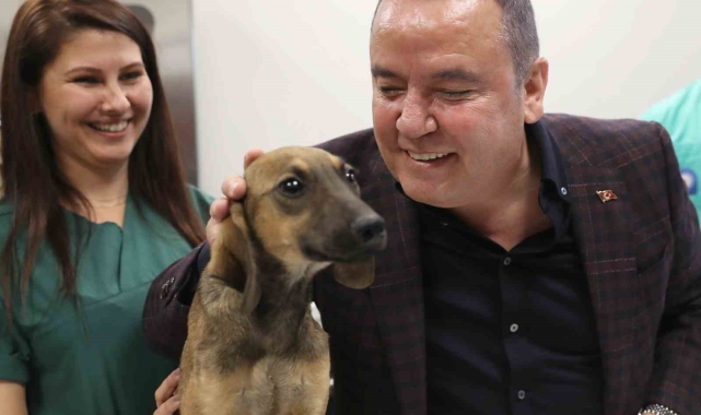 Antalya Büyükşehir Belediyesi 30 bine yakın kedi ve köpeğin tedavisini gerçekleştirdi