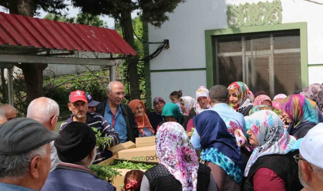 Atakum'da çiftçiye 30 bin sebze fidesi ve tohum desteği
