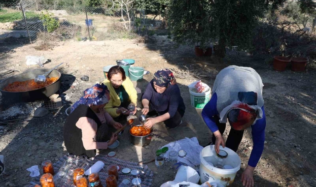 Bal kabakları imece usulü tatlıya dönüştü
