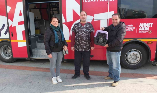 Balıkesir'de sokak hayvanları çok şanslı