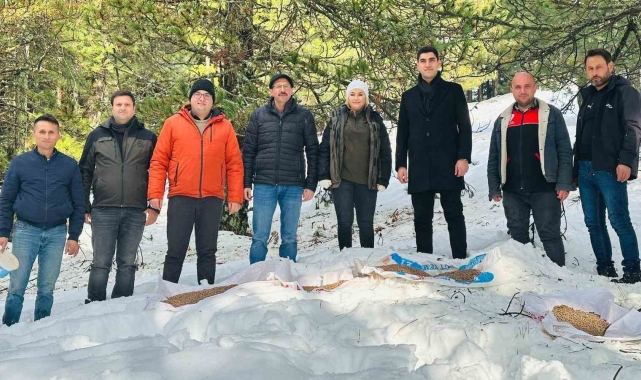 Balıkesir'de yaban hayvanları unutulmadı