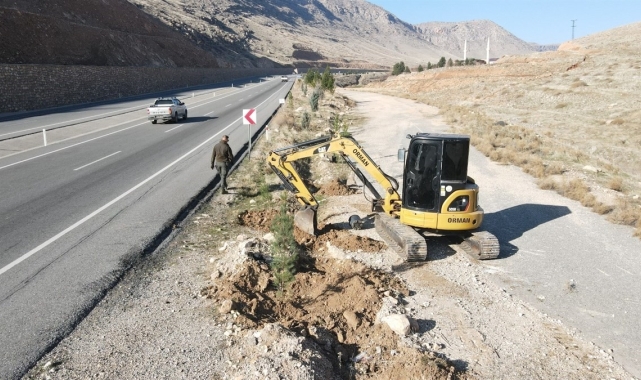 Batman'da 3 bin 620 adet çam fidanı dikildi