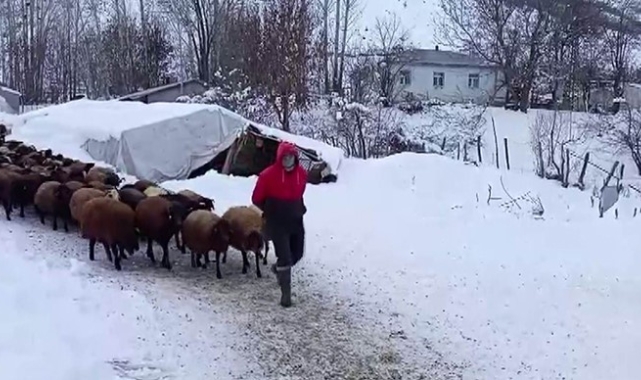Besicilerin kar altında zorlu mesaisi