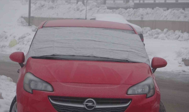 Bitlis'te sis ve dondurucu soğuklar