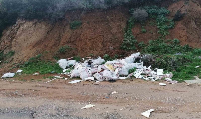 Bodrum'da çevre katliamına 70 bin TL ceza