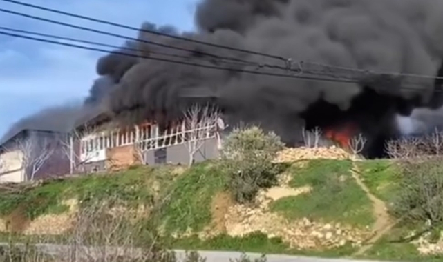 Bozdoğan'da iş yeri yangını