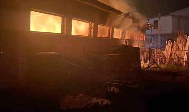 Bursa'da büyükbaş hayvan çiftliğinde yangın