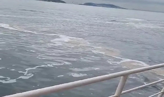 Büyükada'da müsilaj görüldü