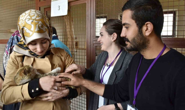 Büyükşehir Hayvan Barınağı&#039;nın kapasitesini artırıyor