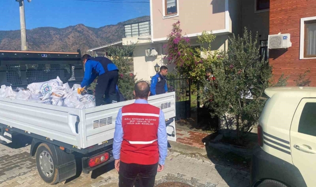 Büyükşehirden soğuk kış günlerinde yakacak desteği