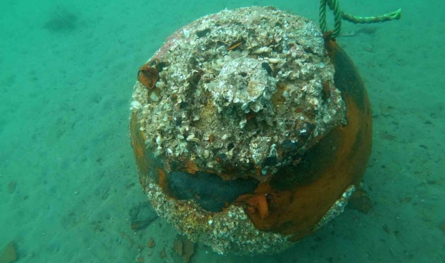 Çanakkale Savaşları'ndan kalma mayın denizde imha edildi