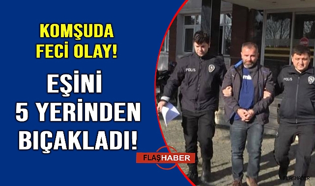 Cani koca dehşet saçtı