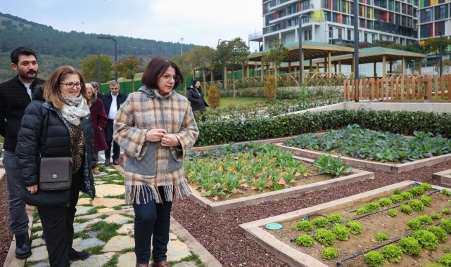 Çocuk Tarım Parkı hizmete açılmaya hazırlanıyor