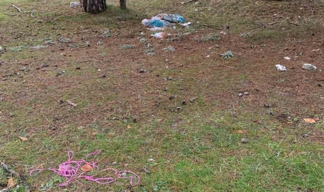 Çöp yığınları çirkin görüntülere sahne oldu