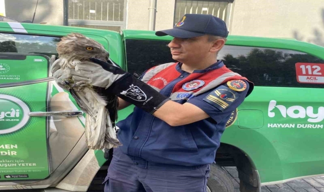Çorum'da jandarma kaçak avcılara göz açtırmadı