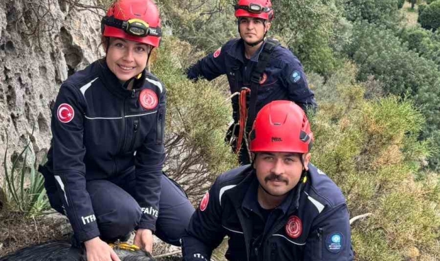 Demre'de 300 metrede 3 gündür mahsur kalan keçi operasyonla kurtarıldı