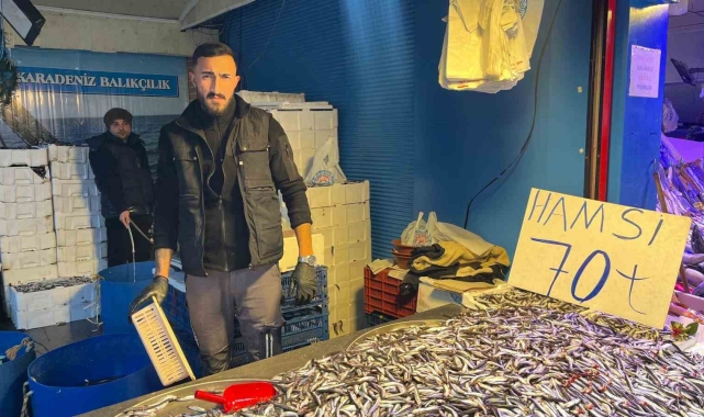 Denizdeki bolluk ve rekabet hamsi fiyatını 70 liraya kadar düşürdü