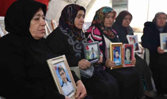 Diyarbakır annelerinden Mevlüde Üçdağ: "Suriye Esad'dan kurtuldu, siz de PKK'dan kurtulun gelin"