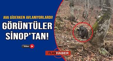 Domuz avında korku dolu anlar