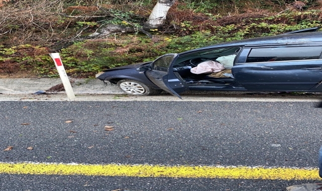 Düzce'de su kanalına çarpan otomobildeki 3 kişi yaralandı