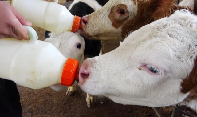 Düzce'de çiftçilerin destekleme icmalleri askıya çıktı