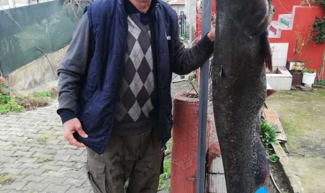 Edirne'de 1,78 metre yayın balığı yakalandı