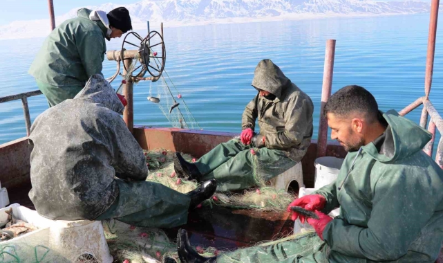 Erçek Gölü'ndeki balık popülasyonu balıkçıları sevindirdi